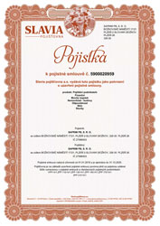 The insurance certificate 